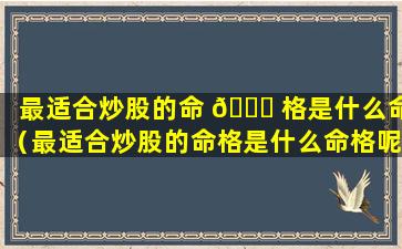 最适合炒股的命 🐎 格是什么命（最适合炒股的命格是什么命格呢）